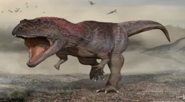 نهاية الجدل.. حقيقة وجود الديناصورات على الأرض قبل ملايين السنين 1